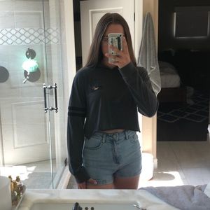HOLLISTER Long Sleeved Crop Top with Hood